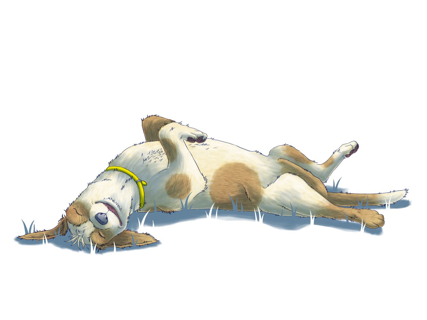 Splayed lying dog