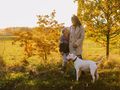 What are the benefits of owning a dog?