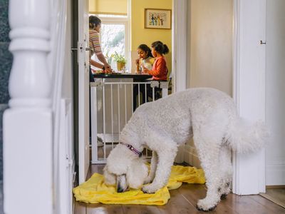 Training at home