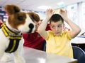 School dogs