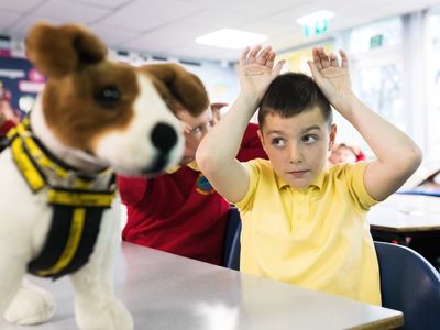 School dogs