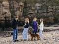 Everything you need to know about taking your dog on holiday