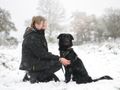 12 woodland walks your pooch will adore this winter