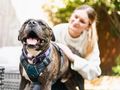 Foster a dog for someone experiencing domestic abuse