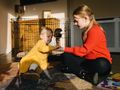 Wellbeing, dogs and me
