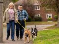 Happy Staffy place: JoJo and Tip find friendship and their forever