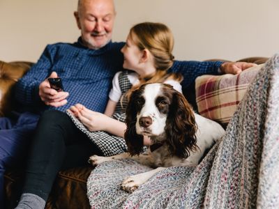 Living safely with dogs