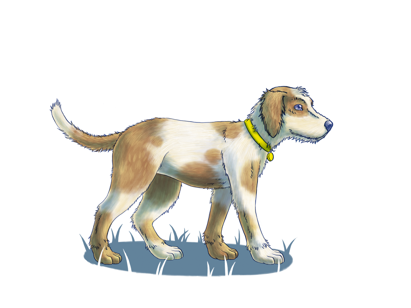 Standing dog