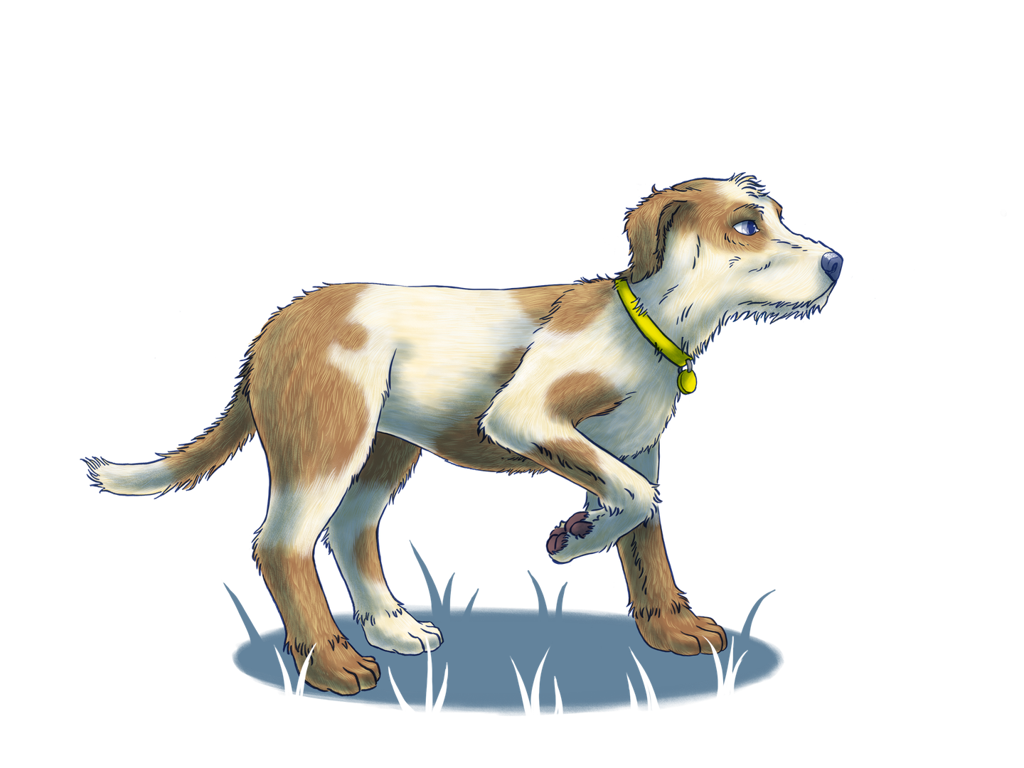 Standing paw lift